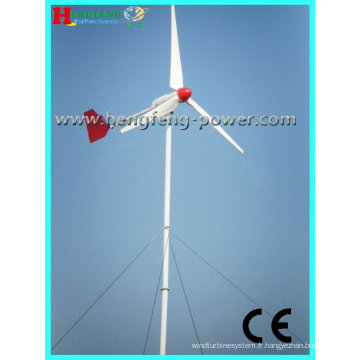 Turbine de vent à axe horizontal 1000W (sans entretien)